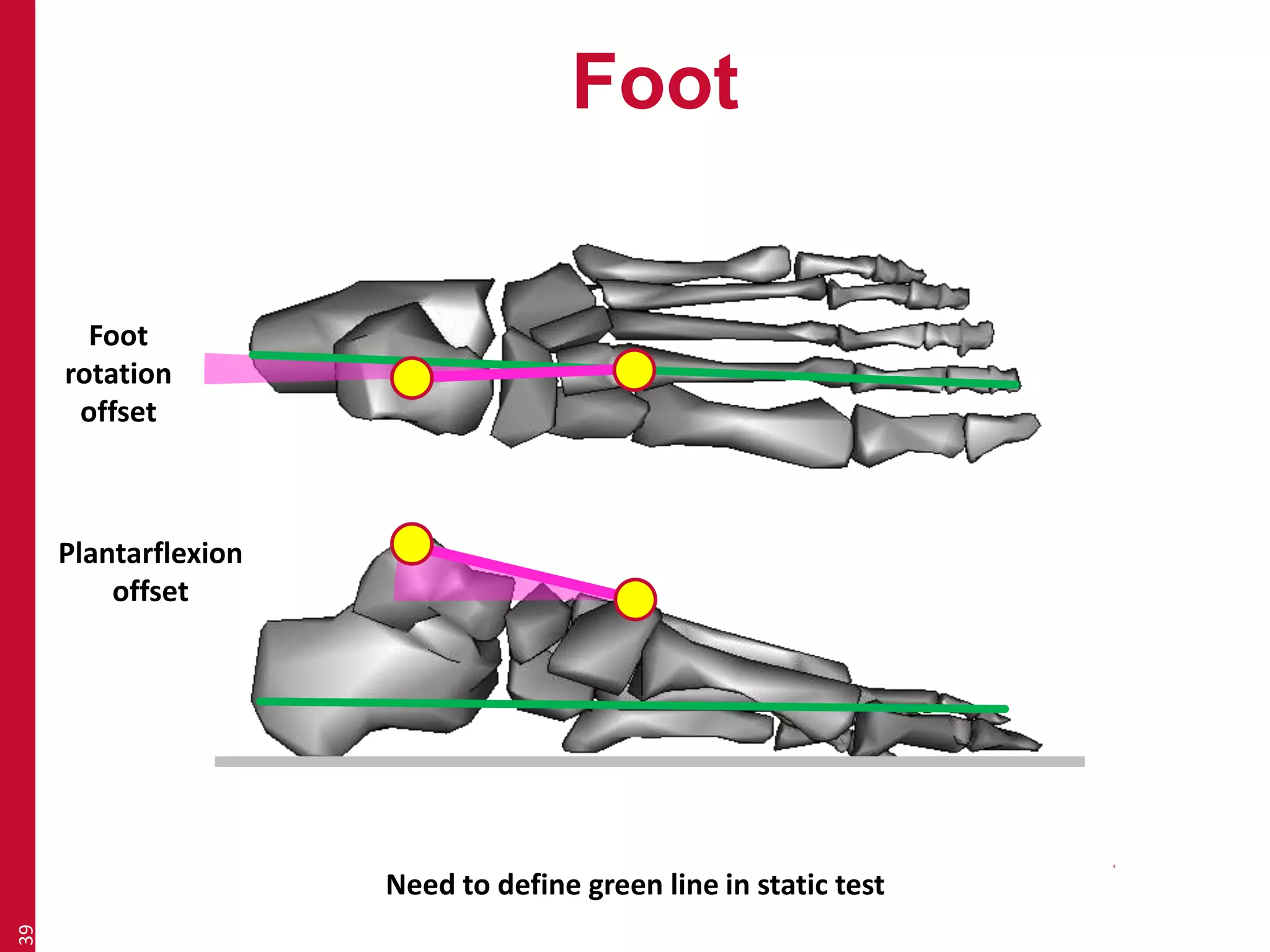 Foot 
39 
Foot 
rotation 
offset 
Plantarflexion 
offset 
Need to define green line in static test 
 