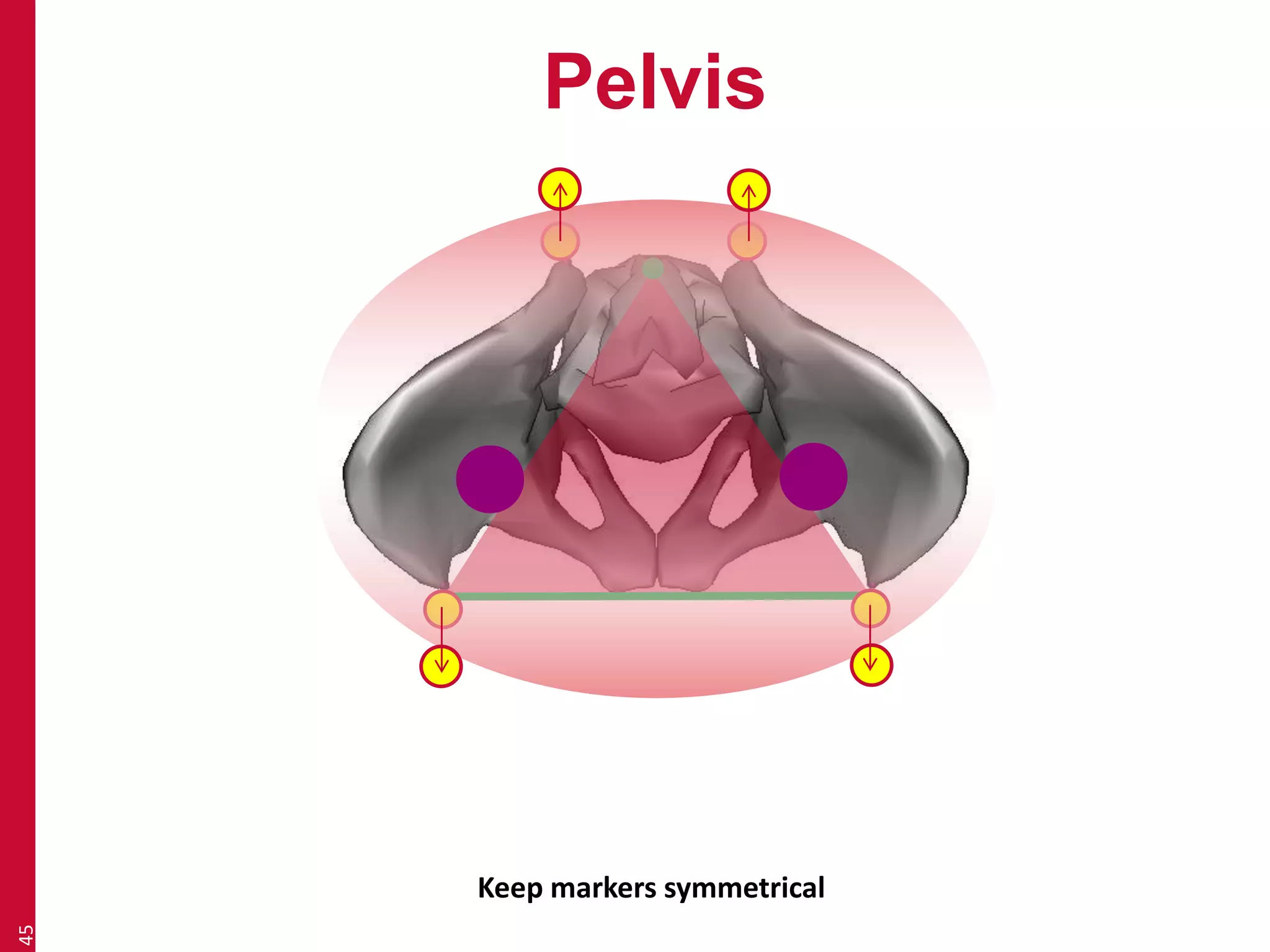 Pelvis 
45 
Keep markers symmetrical 
 