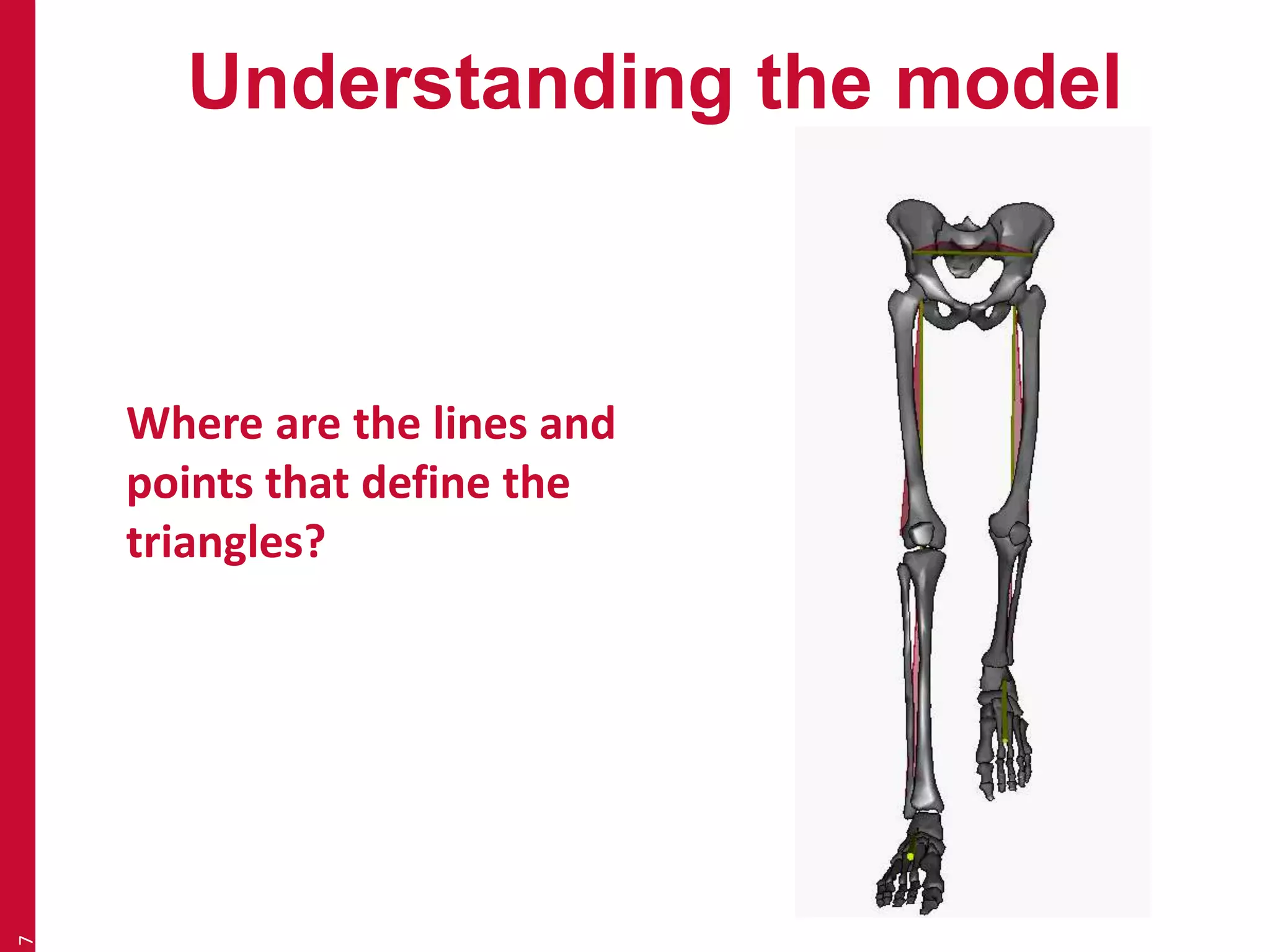 Understanding the model 
7 
Where are the lines and 
points that define the 
triangles? 
 