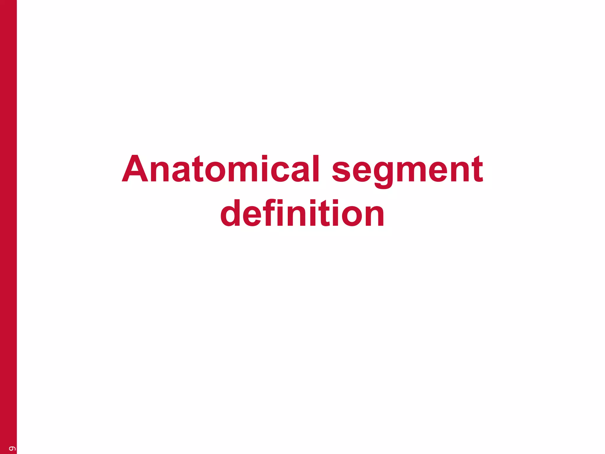 Anatomical segment 
definition 
9 
 