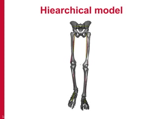 Hiearchical model 
17 
 