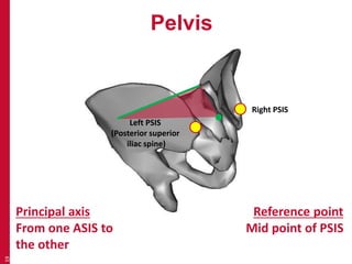 Pelvis 
19 
Principal axis 
From one ASIS to 
the other 
Reference point 
Mid point of PSIS 
Left PSIS 
(Posterior superior 
iliac spine) 
Right PSIS 
 