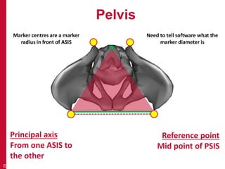 Pelvis 
20 
Principal axis 
From one ASIS to 
the other 
Reference point 
Mid point of PSIS 
Marker centres are a marker 
radius in front of ASIS 
Need to tell software what the 
marker diameter is 
 