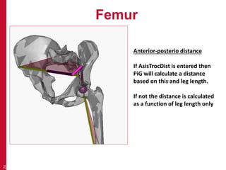 Femur 
24 
Anterior-posterio distance 
If AsisTrocDist is entered then 
PiG will calculate a distance 
based on this and leg length. 
If not the distance is calculated 
as a function of leg length only 
 
