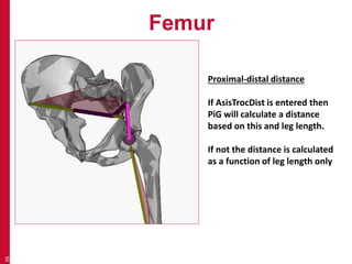 Femur 
26 
Proximal-distal distance 
If AsisTrocDist is entered then 
PiG will calculate a distance 
based on this and leg length. 
If not the distance is calculated 
as a function of leg length only 
 