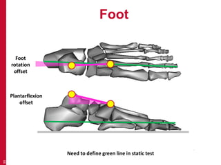 Foot 
39 
Foot 
rotation 
offset 
Plantarflexion 
offset 
Need to define green line in static test 
 