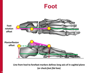 Foot 
41 
Foot 
rotation 
offset 
Plantarflexion 
offset 
Line from heel to forefoot markers defines long axis of in sagittal plane 
(or check foot flat box) 
 