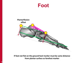 Foot 
42 
Plantarflexion 
offset 
If foot not flat on the ground heel marker must be same distance 
from plantar surface as forefoot marker 
 