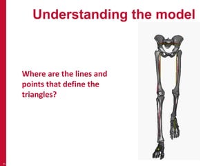 Understanding the model 
7 
Where are the lines and 
points that define the 
triangles? 
 