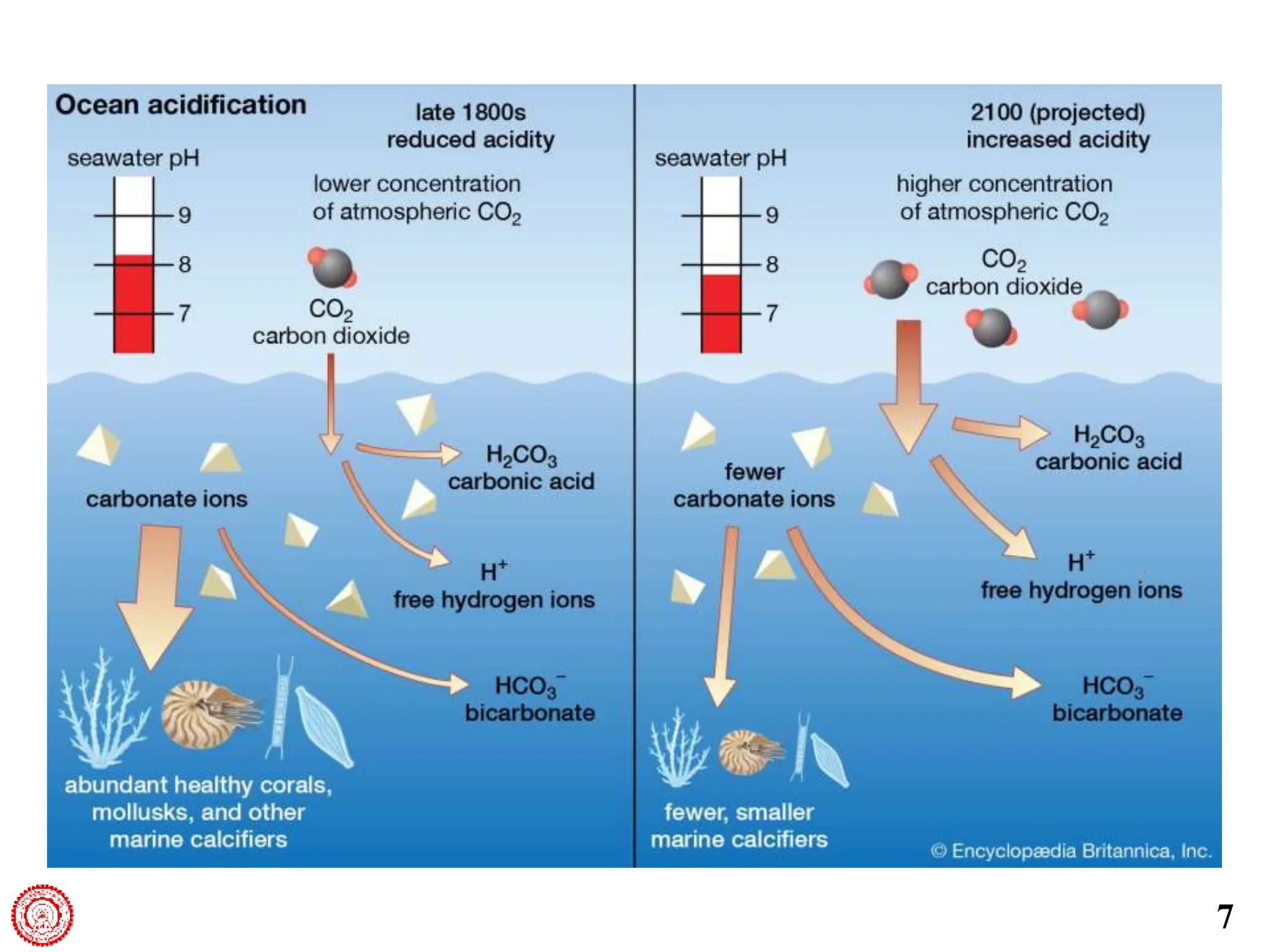 2_Intro_Oceanography.pptx