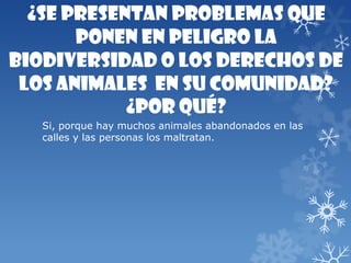 ¿Se presentan problemas que
ponen en peligro la
biodiversidad o los derechos de
los animales en su comunidad?
¿Por qué?
Si, porque hay muchos animales abandonados en las
calles y las personas los maltratan.
 