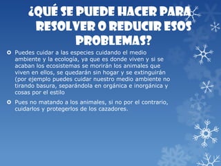¿Qué se puede hacer para
resolver o reducir esos
problemas?
 Puedes cuidar a las especies cuidando el medio
ambiente y la ecología, ya que es donde viven y si se
acaban los ecosistemas se morirán los animales que
viven en ellos, se quedarán sin hogar y se extinguirán
(por ejemplo puedes cuidar nuestro medio ambiente no
tirando basura, separándola en orgánica e inorgánica y
cosas por el estilo
 Pues no matando a los animales, si no por el contrario,
cuidarlos y protegerlos de los cazadores.
 