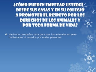 ¿Cómo pueden empezar ustedes
desde sus casas y en su colegio
a promover el respeto por los
derechos de los animales y
por toda forma de vida?
 Haciendo campañas para para que los animales no sean
maltratados ni cazados por malas personas.
 
