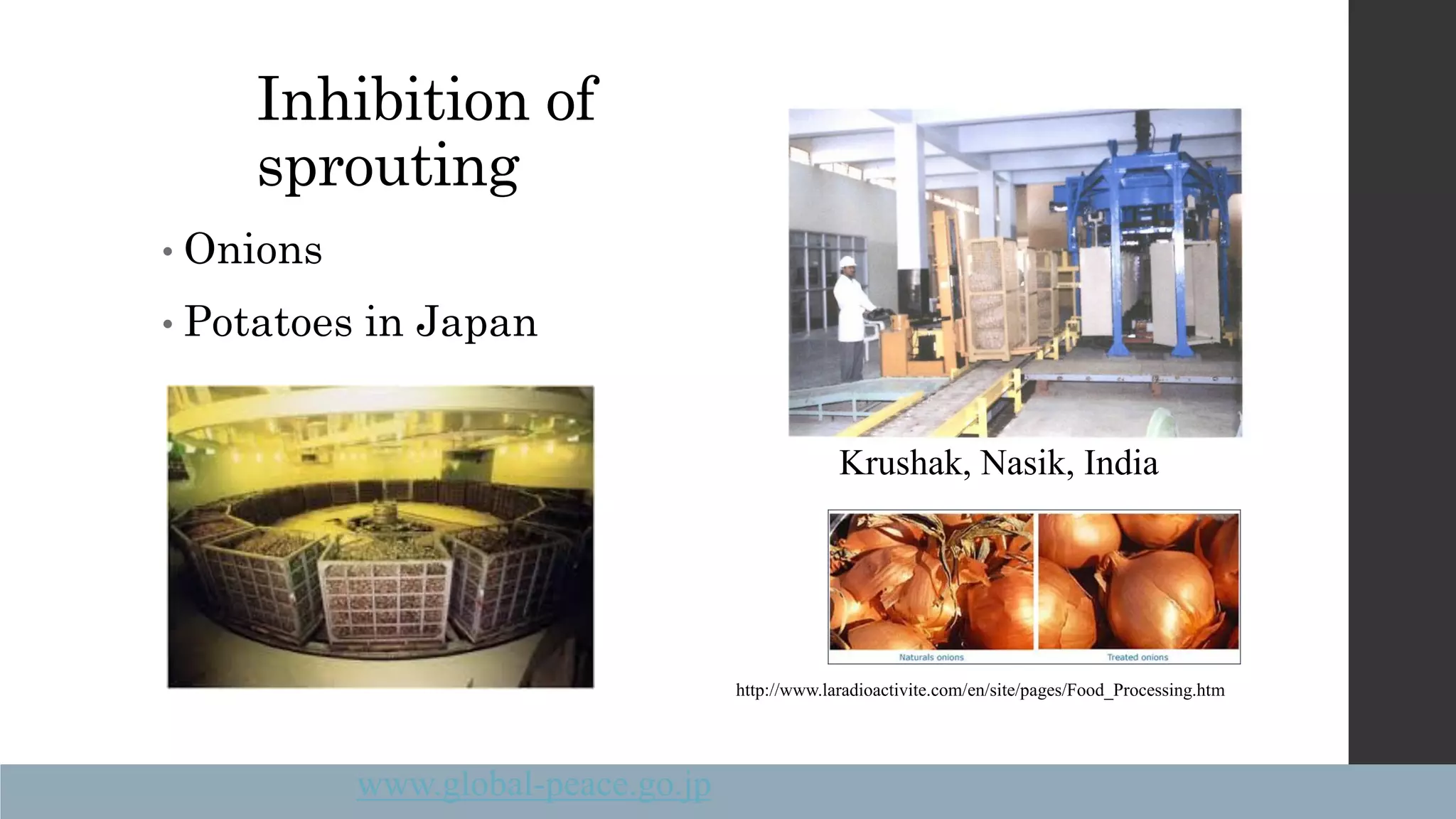 Slide 10