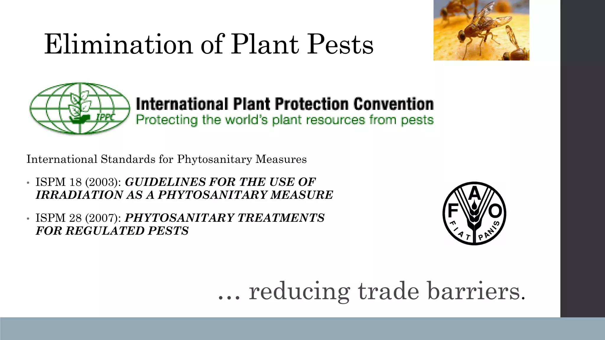 Slide 11