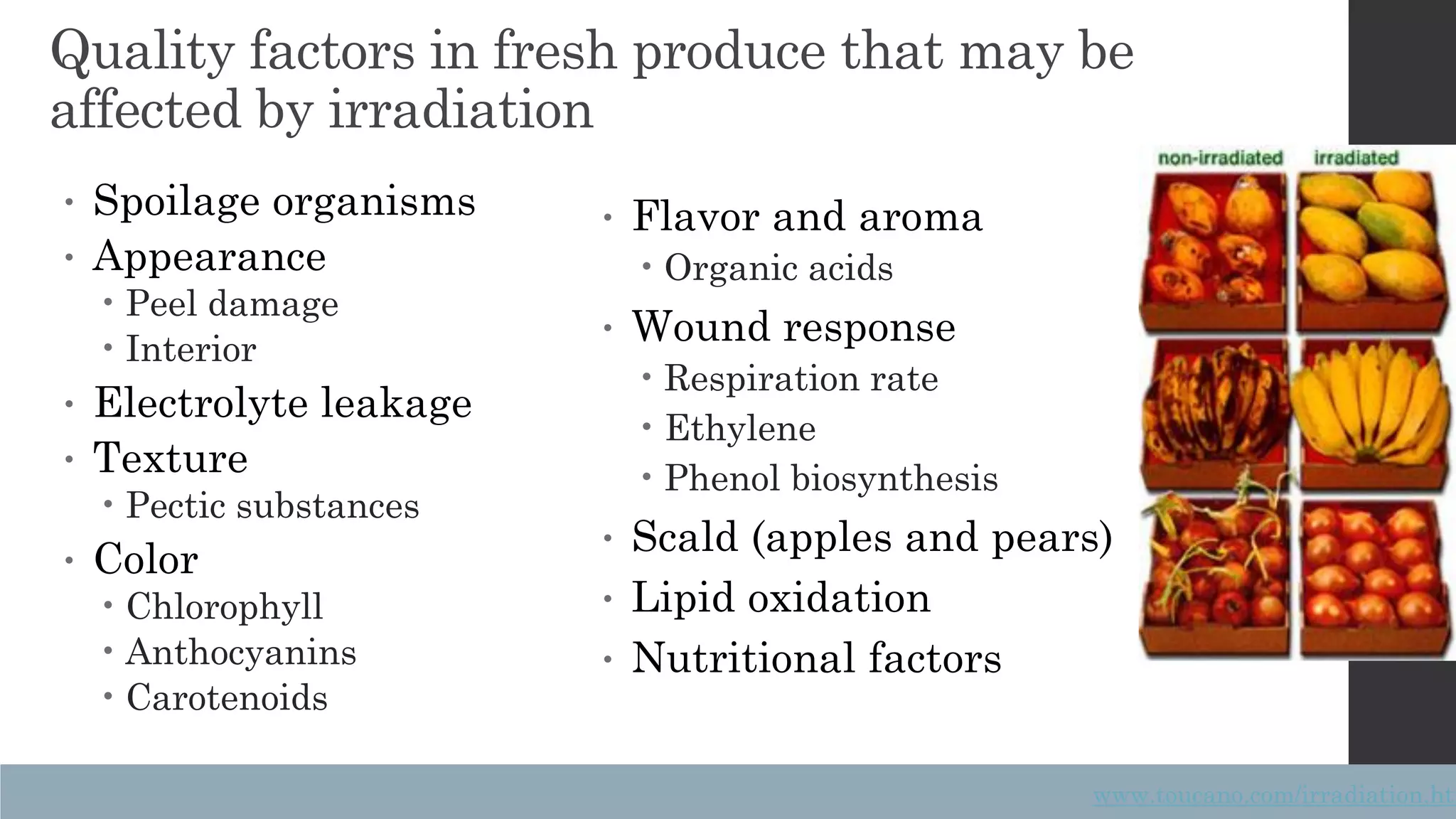 Slide 12