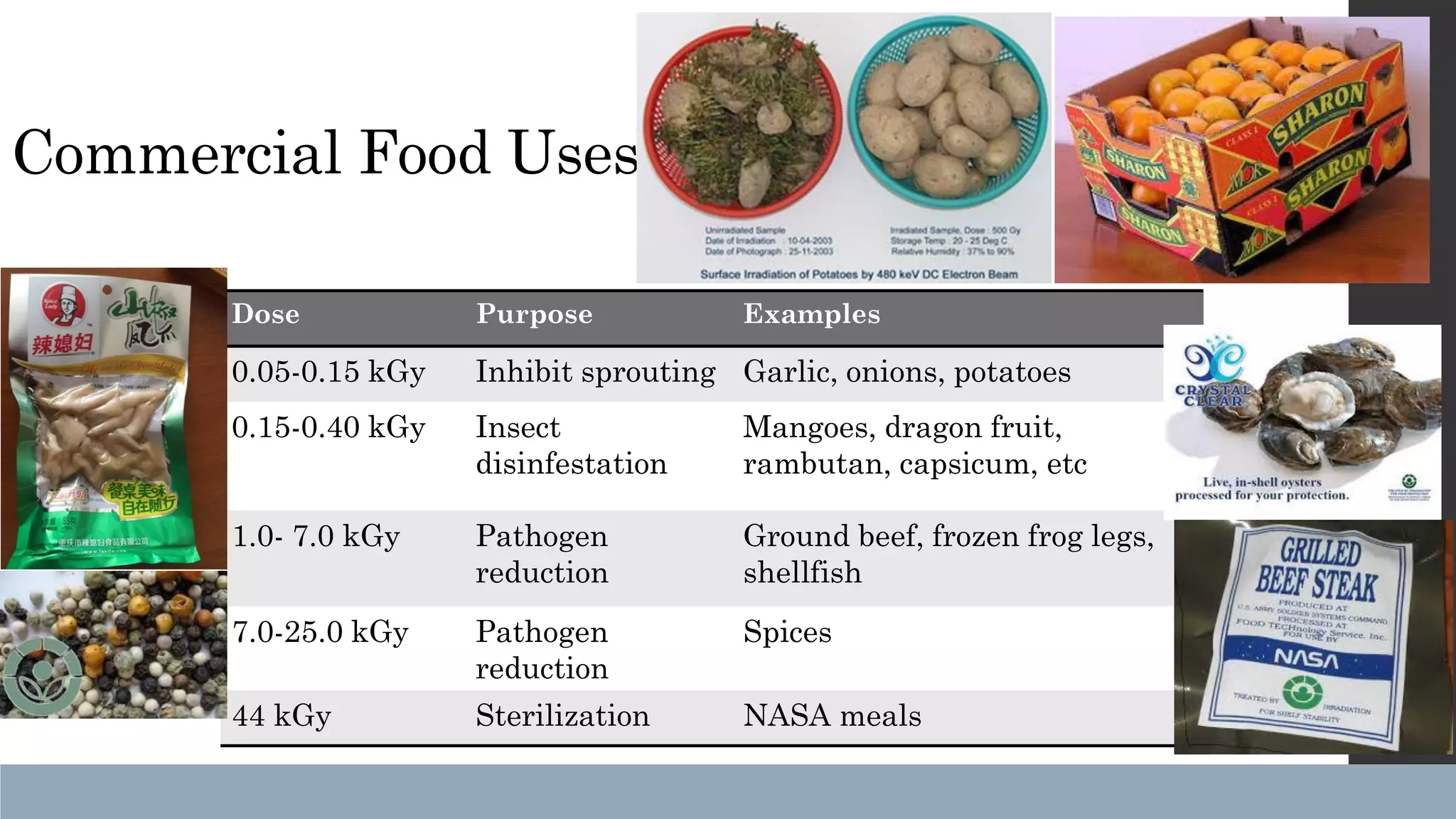 Slide 6