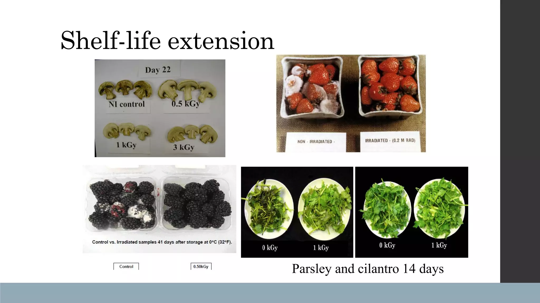 Slide 9
