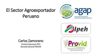 El Sector Agroexportador
Peruano
Carlos Zamorano
Director Ejecutivo IPEH
Gerente General PROVID
 
