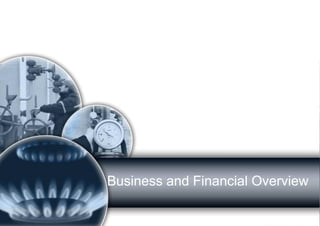 Business and Financial Overview  