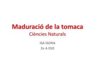 Maduració de la tomaca 
Ciències Naturals 
ISA ISONA 
2n A ESO 
 