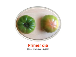 Primer dia 
Dilluns 20 d’octubre de 2014 
 