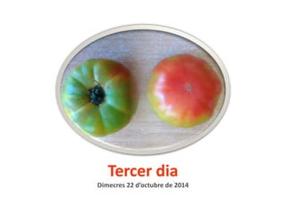 Tercer dia 
Dimecres 22 d’octubre de 2014 
 