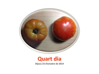 Quart dia 
Dijous 23 d’octubre de 2014 
 