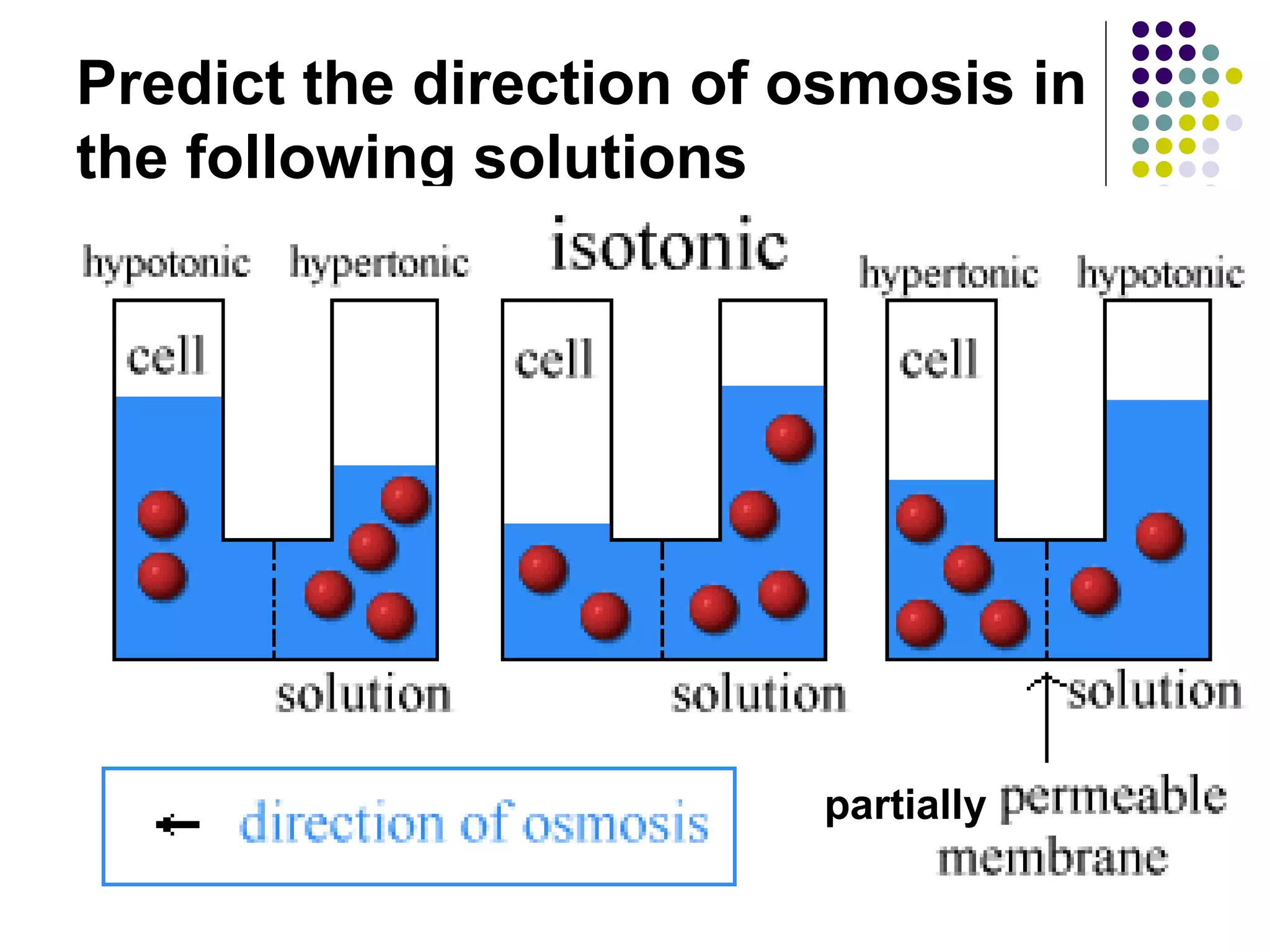 Predict the direction of osmosis in the following   solutions   partially 