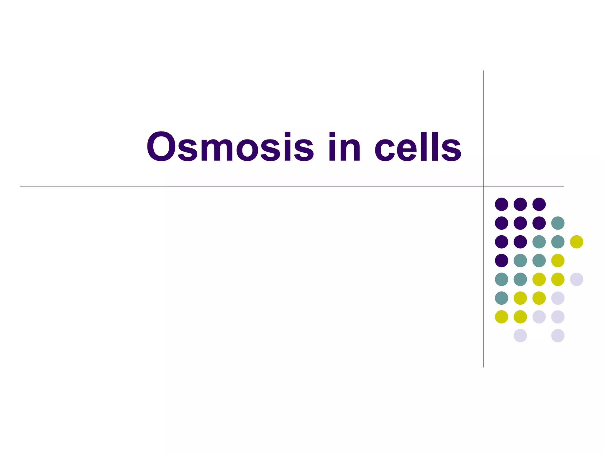 Osmosis in cells 