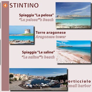 STINTINO4
Spiaggia“La pelosa”
“La pelosa”’s Beach
Spiaggia“Le saline”
“Le saline”’s beach
Torre aragonese
Aragonese tower
I l Po r t i c c i o l o
the small harbor
 