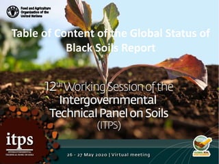 Table of Content of the Global Status of
Black Soils Report
 