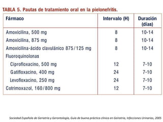 Sociedad Española de Geriatría y Gerontología, Guía de buena práctica clínica en Geíratria, Infecciones Urinarias, 2005
 
