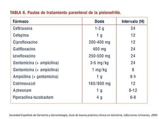 Sociedad Española de Geriatría y Gerontología, Guía de buena práctica clínica en Geíratria, Infecciones Urinarias, 2005
 