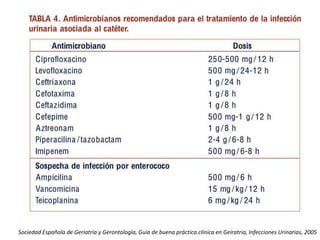 Sociedad Española de Geriatría y Gerontología, Guía de buena práctica clínica en Geíratria, Infecciones Urinarias, 2005
 