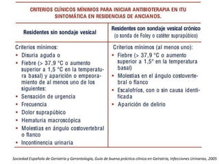Sociedad Española de Geriatría y Gerontología, Guía de buena práctica clínica en Geíratria, Infecciones Urinarias, 2005
 
