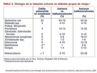 Sociedad Española de Geriatría y Gerontología, Guía de buena práctica clínica en Geíratria, Infecciones Urinarias, 2005
 