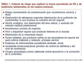 Sociedad Española de Geriatría y Gerontología, Guía de buena práctica clínica en Geíratria, Infecciones Urinarias, 2005
 