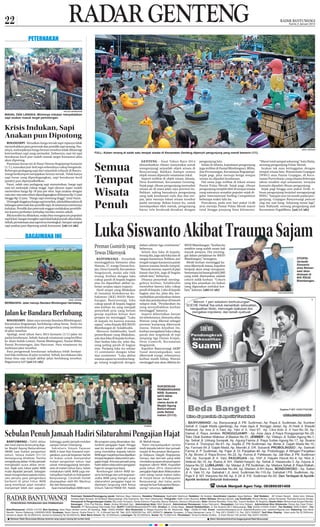 22

Kamis 2 Januari 2014

PETERNAKAN

NIKLAAS ANDRIES/RaBa

MAHAL DAN LANGKA: Minimnya indukan menyebabkan
sapi anakan masuk target pemotongan.

Krisis Indukan, Sapi
Anakan pun Dipotong
ROGOJAMPI - Kenaikan harga ternak sapi rupanya tidak
menyebabkan para peternak dan pemilik sapi senang. Pasalnya, melonjaknya harga hewan tersebut tidak dibarengi
ketersediaan sapi yang memadai. Imbasnya, saat ini sapi
berukuran kecil pun sudah masuk target konsumsi alias
akan dipotong.
Pantauan koran ini di Pasar Hewan Rogojampi kemarin
(1/1), transaksi jual-beli sapi sebetulnya cukup bergairah.
Beberapa pedagang sapi dari sejumlah wilayah di Banyuwangi berkumpul menjajakan hewan ternak. Tidak hanya
sapi besar yang diperdagangkan, sapi berukuran kecil
(pedet) pun diperjualbelikan.
Fauzi, salah satu pedagang sapi menuturkan, harga sapi
saat ini melonjak cukup tinggi. Sapi ukuran super sudah
menembus harga Rp 18 juta per ekor. Sapi anakan dengan
usia rata-rata satu tahun diperdagangkan di kisaran Rp 11 juta
hingga Rp 12 juta. “Harga sapi memang tinggi,” tutur Fauzi.
Di tengah tingginya harga sapi tersebut, ada kekhawatiran di
kalangan peternak dan pemilik sapi, di antaranya minimnya
indukan. Pemilik dan peternak enggan melakukan pembibitan karena perhatian terhadap mereka minim sekali.
Bila kondisi itu dibiarkan, maka bisa mengancam populasi
sapi lokal. Sangat mungkin sapi lokal bakal punah alias habis.
Sebab, permintaan atas sapi terus meningkat. Sampai-sampai
sapi anakan pun dipotong untuk konsumsi. (nic/c1/als)

BAGAIMANA INI

ABDUL AZIZ/RaBa

FULL: Kolam renang di salah satu tempat wisata di Kecamatan Genteng dipenuhi pengunjung yang mandi kemarin (1/1).

Semua
Tempat
Wisata
Penuh

ABDUL AZIZ/RaBa

Jalan ke Bandara Berlubang
ROGOJAMPI - Jalan raya menuju Bandara Blimbingsari,
Kecamatan Rogojampi, berlubang cukup besar. Tentu itu
sangat membahayakan para pengendara yang melintas
di jalur tersebut.
Apalagi, awal tahun baru 2014 kemarin (1/1) jalan itu
padat kendaraan. Sebab, banyak wisatawan yang berlibur
ke Alam Indah Lestari, Pantai Blmbingsari, Pantai Blibis,
Pantai Pecemengan, dan Pancoran. Para wisatawan itu
melintasi jalur tersebut.
Para pengemudi kendaraan sebaiknya lebih berhatihati bila melintas di jalur tersebut. Sebab, kecelakaan lalu
lintas bisa saja terjadi akibat jalan berlubang tersebut.
Bagaimana ini? (azi/c1/als)

pengunjung lain.
Selain di Atlanta, kepadatan pengunjung
juga terlihat di Pantai Blimbingsari, Blibis,
dan Pecemangan, Kecamatan Rogojampi.
Sejak pagi, jalur menuju ketiga tempat
wisata itu dipadati kendaraan.
Hal sama juga terlihat di lokasi wisata
Pantai Pulau Merah. Sejak pagi, ribuan
pengunjung tumplek blek di tempat wisata
yang namanya semakin populer sejak digelar Internasional Surfing Competition
beberapa waktu lalu itu.
Puncaknya, pada sore hari pukul 14.00
arus menuju Pantai Pulau Merah macet
total hingga panjang lima kilometer.

“Macet total sampai sekarang,” kata Hatta,
seorang pengunjung Pulau Merah.
Seakan tak mau ketinggalan dengan
tempat wisata lain, Wanawisata Grajagan
(WWG) atau Pantai Grajagan, di Kecamatan Purwoharjo, yang selama beberapa
tahun terakhir sepi wisatawan, ternyata
kemarin dipadati ribuan pengunjung.
Sejak pagi hingga sore pukul 16.00, ribuan pengunjung berjubel mengunjungi
WWG. “Sampai sore ini masih padat pengunjung. Grajagan Banyuwangi pancen
sing tau sepi kang. Sekarang ramai lagi,”
kata Wahyudi, seorang pengunjung asal
Kecamatan Tegaldlimo. (azi/c1/als)

Luka Siswanto Akibat Trauma Sajam
Preman Gumirih yang
Tewas Dikeroyok

BERBAHAYA: Jalan menuju Bandara Blimbingsari berlubang.

GENTENG - Awal Tahun Baru 2014
dimanfaatkan ribuan masyarakat untuk
mengunjungi sejumlah objek wisata di
Banyuwangi. Bahkan, hampir semua
objek wisata dipenuhi wisatawan lokal.
Seperti terlihat di objek wisata Atlanta,
Desa Kembiritan, Kecamatan Genteng.
Sejak pagi, ribuan pengunjung memadati
wisata air di utara jalan raya provinsi itu.
Bahkan, saking banyaknya pengunjung
yang naik kendaraan roda dua dan empat, jalur menuju lokasi wisata tersebut
padat merayap. Bukan hanya itu, untuk
mendapatkan tiket masuk, pengunjung
harus rela berdesak-desakan dengan

BANYUWANGI - Penyebab
meninggalnya Siswanto alias
Wawan, 27, warga Dusun Krajan, Desa Gumirih, Kecamatan
Singojuruh, mulai ada titik
terang. Korban dengan luka
cukup parah di kepala bagian
atas itu dipastikan akibat sabetan senjata tajam (sajam).
Hasil otopsi yang dilakukan
di Instalasi Kedokteran Kehakiman (IKK) RSUD Blambangan, Banyuwangi, luka
cukup parah di kepala bagian
atas korban itu yang menjadi
penyebab pria yang belum
genap sepekan keluar dari
penjara itu meninggal. “Luka
di kepala itu karena trauma
sajam,” cetus Kepala IKK RSUD
Blambangan dr. Solakhudin.
Menurut Solakhudin, hasil
pemeriksaan yang dilakukan,
ada dua luka di kepala korban.
Dari kedua luka itu, jelas dia,
yang paling parah di bagian
atas. Panjang luka itu sekitar
15 centimeter dengan lebar
dua centimeter. “Luka akibat
trauma sajam itu tembus hingga tulang tengkorak dengan

dalam sekitar tiga centimeter,”
bebernya.
Selain dua luka di kepala,
terang dia, juga ada luka lain di
tangan kanannya. Bahkan, jari
tengah tangan kanannya patah
karena trauma benda tumpul.
“Banyak memar, seperti di pipi
kanan dan kiri, juga di bagian
tubuh lain,” bebernya.
Ditanya penyebab meninggalnya korban, Solakhudin
menyebut karena luka cukup
parah di kepala. Luka di kepala
bagian atas itu, jelas dia, menyebabkan pendarahan dalam
otak dan pendarahan di bawah
selaput otak. “Pendarahan itu
yang menyebabkan korban
meninggal,” katanya.
Seperti diberitakan harian
ini sebelumnya, Siswanto alias
Wawan yang dikenal sebagai
preman kampung dikeroyok
massa. Dalam kejadian itu,
korban mengalami luka cukup
parah dan tergeletak di tepi
simpang tiga Dusun Krajan,
Desa Gumirih, Kecamatan
Singojuruh.
Kapolres Banyuwangi AKBP
Yusuf menyampaikan, saat
dikeroyok warga, sebenarnya
korban masih hidup. Wawan
meninggal saat akan dikirim ke

RSUD Blambangan. “Korban itu
residivis yang sudah enam kali
masuk penjara. Dia meninggal dalam perjalanan ke RSUD
Blambangan,” terangnya.
Meski korban meninggal karena dikeroyok massa, kapolres
berjanji akan tetap mengusut.
Sementara ini barang bukti (BB)
yang telah diamankan adalah
celurit milik korban. “Celurit
yang kita amankan itu bukan
yang digunakan melukai korban,” katanya. (abi/c1/als)

OTOPSI:
Jenazah
Siswanto
alias Wawan
saat akan
diotopsi di
IKK RSUD
Blambangan.

AGUS BAIHAQI/RaBa

SUKSESKAN
PEMBANGUNAN
MAB: Suasana
tahlil akbar
dan haul
ulama dunia di
Masjid Agung
Baiturrahman
pada Selasa
malam (31/12).

ISTIMEWA

Sebulan Penuh Jamaah Hadiri Silaturahmi Pengajian Hajat
BANYUWANGI—Tahlil akbar
dan haul ulama dunia yang digelar Masjid Agung Baiturrahman
(MAB) saat malam pergantian
tahun, Selasa malam (31/12)
berlangsung khidmat. Panitia
menghitung sekitar 10 ribu jamaah
menghadiri acara akbar tersebut. Sejak sore, lokasi parkir MAB
mulai dipadati jamaah. Sebagian
besar mengendarai sepeda motor,
satu persatu para pengendara
berhenti di jalan timur MAB
yang membuat jalan semakin
menyempit lebih dari separuh.

Sehingga, parkir jamaah meluber
sampai Taman Sritanjung.
Sek retaris Umum Yayasan
MAB, Ir Iwan Aziz Siswanto mengatakan, puncak kegiatan harlah
ini bukan untuk menyambut
malam pergantian tahun, tapi
untuk menanggulangi kemaksiatan di malam tahun baru. Selain
melakukan tahlil, MAB juga menampilkan hadrah se-Kabupaten
Banyuwangi. Ceramah harlah
disampaikan oleh KH. Machrus
Aly dari Banyuwangi.
Iwan menambahkan, MAB memi-

liki program yang dinamakan silaturahmi pengajian hajat. Hingga
saat ini, tercatat sudah 50 masjid
yang mendaftar kepada takmir
MAB agar masjidnya bisa dijadikan
tempat kegiatan silaturrahmi pengajian hajat. Antusias jamaah yang
hadir dalam silaturahmi pengajian
hajat ini sangat luar biasa.
Rombongan takmir MAB beserta lembaga dan unit kegiatanusaha MAB yang mengisi acara
silaturrahmi pengajian hajat ini
dipimpin langsung oleh Ketua
Umum Takmir/YMAB KH. Habib

M. Mahdi Hasan.
“Kami menyampaikan terima
kasih kepada takmir dan jamaah
masjid di Kecamatan Wongsorejo, Kalipuro, Glagah, Rogojampi,
Sempu, dan lain-lain yang telah
mendukung sepenuhnya program
kegiatan takmir MAB. Insyaallah
pada tahun 2014, silaturrahmi
pengajian hajat akan dilaksanakan
rutin setiap Jumat malam Sabtu
di masjid besar se-Kabupaten
Banyuwangi, dan kalau perlu
sampai ke luar Kabupaten Banyuwangi,” cetusnya. (adv/als)

Pemimpin Redaksi/Penanggung jawab: Rahman Bayu Saksono. Redaktur Pelaksana: Syaifuddin Mahmud. Redaktur: Ali Sodiqin. Koordinator Liputan: Agus Baihaqi. Staf Redaksi: AF Ichsan Rasyid, Abdul Aziz, Niklaas
Andries,Sigit Hariyadi, Ali Nurfatoni (Banyuwangi), Edy Supriyono, Nur Hariri (Situbondo). Fotografer: Galih Cokro Buwono. Editor Bahasa: Minhajul Qowim. Lay Out/Graﬁs: Khoirul Muklis, Cahya Heriyanto, Ramada Kusuma Atmaja.
Pemasaran & Pengembangan Usaha: Elly Irwan Suryanto, Gerda Sukarno Prayudha, Benny Siswanto, Samsuri (Situbondo). Iklan: Sidrotul Muntaha, Tomy Sila, Yusroh Abdillah, W. Nugroho. Desain Iklan: Mohammad Isnaeni Wardan.
PENDORONG PERUBAHAN DAN PEMBARUAN
Keuangan: Citra Puji Rahayu. Kasir: Anissa Windyah Sari. Administrasi Iklan: Widi Ukiyanti . Administrasi Pemasaran: Anisa Febriyanti. Perpajakan: Cici Irma Setyani. Administrasi Biro Situbondo: Dimas Ayu Dewi Fintari.
Penerbit: PT Banyuwangi Intermedia Pers. SIUPP:1538/SK/Menpen/SIUPP/1999. Direktur: A. Choliq Baya. Alamat Redaksi/Iklan: Jl. Yos Sudarso 89 C Banyuwangi, Telp: (0333) 412224-416647 Fax Redaksi: 0333-416647, Fax
Iklan/Pemasaran: (0333) 415153, Biro Genteng: Jalan Raya Jember nomor 36 Genteng, Telp: (0333) 845860. Biro Situbondo: Jl. Wijaya Kusuma No. 60 Situbondo, Telp : (0338) 671982. Email: radarbwi@jawapos.co.id, radarbwi@yahoo.com, radarbwi@gmail.com. Rekening: Giro Bank
Mandiri Nomor Rekening 1430002019030. Surabaya: Yamin Hamid, Graha Pena Lt .15, Jl Ahmad Yani 88 Telp. (031) 8202259 Fax. (031) 8295473. Jakarta: Gunawan, Jl Raya Kebayoran Lama 17, Telp (021) 5349311-5, Fax. (021) 5349207. Tarif Iklan Display: hitam putih Rp 22.500/mmk,
berwarna depan Rp 35.000/mmk, berwarna belakang Rp 30.000/mmk, Iklan Baris Umum: Rp. 22.000/baris, Lowongan: Rp 50.000/baris, Sosial: Rp 15.000/mmk. Percetakan: Temprina Media Graﬁka, Jl Imam Bonjol 129 Jember Telp (0331) 320300.
Wartawan Radar Banyuwangi dilarang menerima uang maupun barang dari sumber berita.

Wartawan Radar Banyuwangi dibekali dengan kartu pers yang dikenakan selama bertugas.

Materi iklan/advertorial di luar tanggung jawab Radar Banyuwangi

 
