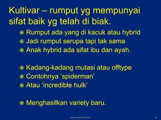 Kultivar – rumput yg mempunyai
sifat baik yg telah di biak.
 Rumput ada yang di kacuk atau hybrid
 Jadi rumput serupa tapi tak sama
 Anak hybrid ada sifat ibu dan ayah.
 Kadang-kadang mutasi atau offtype
 Contohnya ‘spiderman’
 Atau ‘incredible hulk’
 Menghasilkan variety baru.
www.mynormas.com 18
 