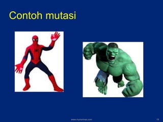 Contoh mutasi
www.mynormas.com 19
 
