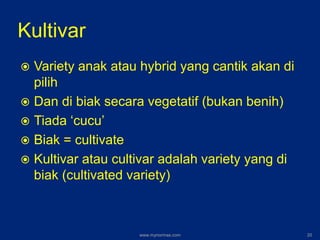 Kultivar
 Variety anak atau hybrid yang cantik akan di
pilih
 Dan di biak secara vegetatif (bukan benih)
 Tiada ‘cucu’
 Biak = cultivate
 Kultivar atau cultivar adalah variety yang di
biak (cultivated variety)
www.mynormas.com 20
 