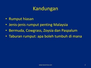 Kandungan
• Rumput hiasan
• Jenis-jenis rumput penting Malaysia
• Bermuda, Cowgrass, Zoysia dan Paspalum
• Taburan rumput: apa boleh tumbuh di mana
www.mynormas.com 2
 