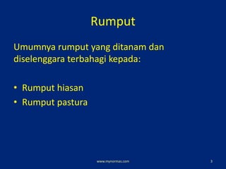 Rumput
Umumnya rumput yang ditanam dan
diselenggara terbahagi kepada:
• Rumput hiasan
• Rumput pastura
www.mynormas.com 3
 