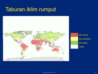 Taburan iklim rumput
Zon panas
Zon peralihan
Zon sejuk
Tiada
www.mynormas.com 42
 