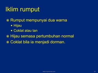 Iklim rumput
 Rumput mempunyai dua warna
 Hijau
 Coklat atau tan
 Hijau semasa pertumbuhan normal
 Coklat bila ia menjadi dorman.
www.mynormas.com 43
 
