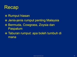 Recap
 Rumput hiasan
 Jenis-jenis rumput penting Malaysia
 Bermuda, Cowgrass, Zoysia dan
Paspalum
 Taburan rumput: apa boleh tumbuh di
mana
www.mynormas.com 50
 