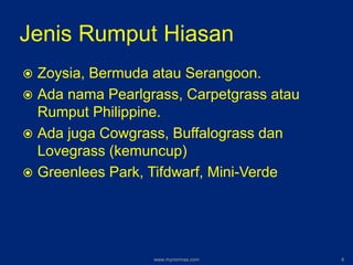 Jenis Rumput Hiasan
 Zoysia, Bermuda atau Serangoon.
 Ada nama Pearlgrass, Carpetgrass atau
Rumput Philippine.
 Ada juga Cowgrass, Buffalograss dan
Lovegrass (kemuncup)
 Greenlees Park, Tifdwarf, Mini-Verde
www.mynormas.com 6
 