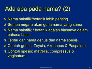 Ada apa pada nama? (2)
 Nama saintifik/botanik lebih penting.
 Semua negara akan guna nama yang sama
 Nama saintifik / botanik adalah biasanya dalam
bahasa Latin.
 Terdiri dari nama genus dan nama spesis.
 Contoh genus: Zoysia, Axonopus & Paspalum
 Contoh spesis: matrella, compressus &
vaginatum
www.mynormas.com 8
 