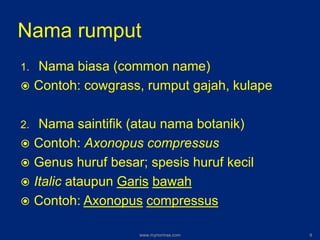 Nama rumput
1. Nama biasa (common name)
 Contoh: cowgrass, rumput gajah, kulape
2. Nama saintifik (atau nama botanik)
 Contoh: Axonopus compressus
 Genus huruf besar; spesis huruf kecil
 Italic ataupun Garis bawah
 Contoh: Axonopus compressus
www.mynormas.com 9
 